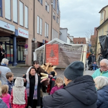 Weihnachtswunder 2025 - Reginate 2